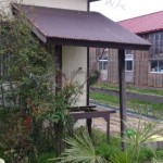 秋葉区庭木伐採前3