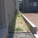 家の周りの草抜き作業前