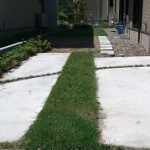 芝生の草取り後