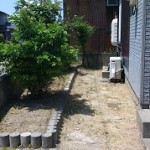 庭木の伐採作業後