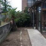 北区庭木伐採作業後