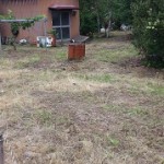 東区草刈り作業後2