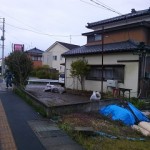 秋葉区庭木伐採後1