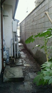 ゴミと落ち葉がすっきり