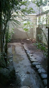 庭を覆う樹木がすっきり